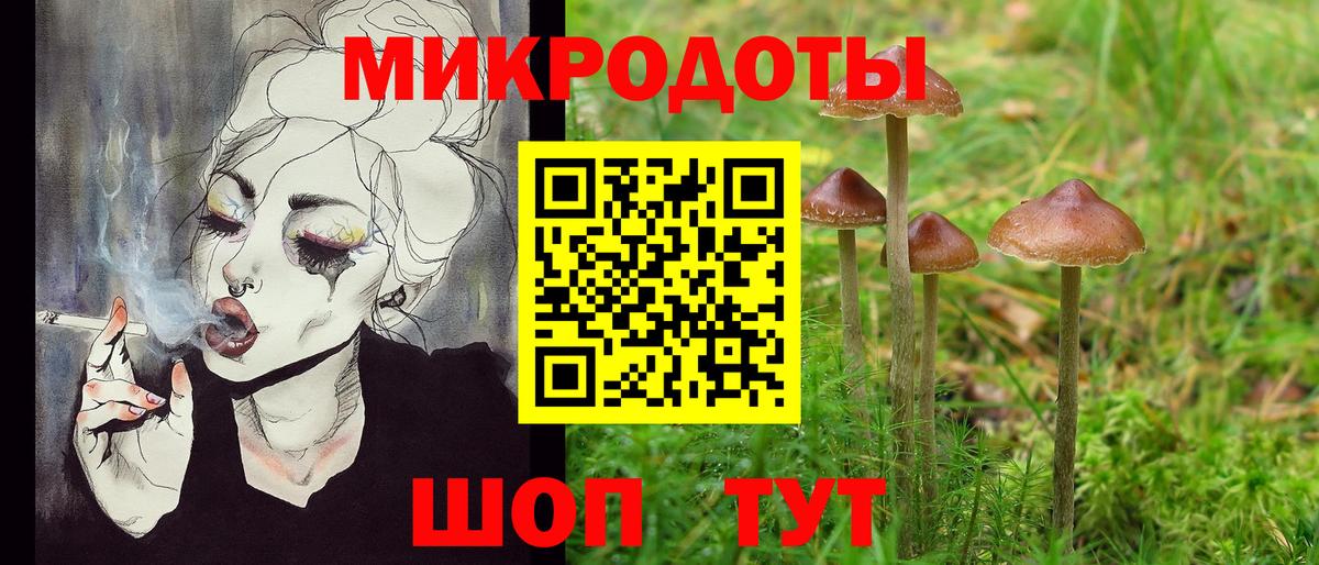 Псилоцибиновые грибы мицелий  Вход с VPN  Унеча 