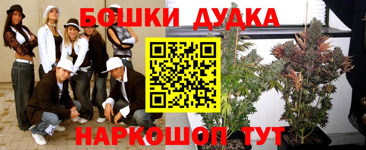 Каннабис марихуана  Марихуана Amnesia  Марихуана сатива  Унеча  Каннабис Bruce Banner  Вход с VPN 